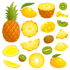 Bright vector set of pineapple, mango, kiwi isolated on white