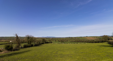 Fototapeta premium Cycling Tour