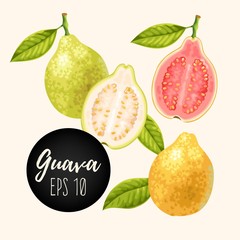 Set of guava fruits