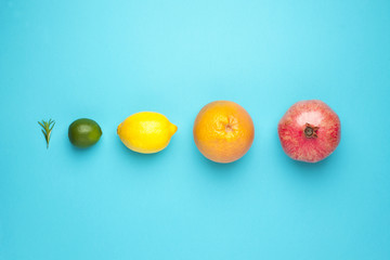 Colored of fruits on a blue background. Top view.