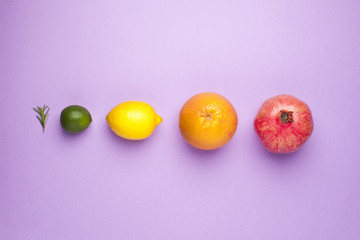 Colored of fruits on a purple background. Top view.