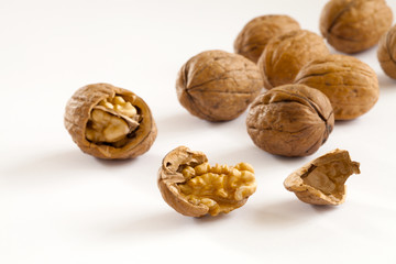 walnut over white background