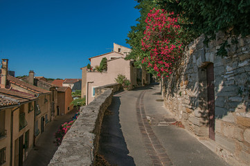 Fototapeta na wymiar View of traditional stone houses and flowers on a street at sunrise, in Chateauneuf-de-Gadagne. Located in the Vaucluse department, Provence-Alpes-Côte d'Azur region, southeastern France