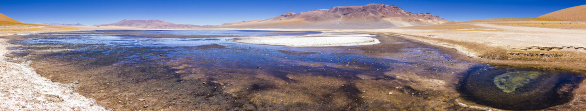 Salt lakes inside Atacama Desert at Chile in the middle of the Andes