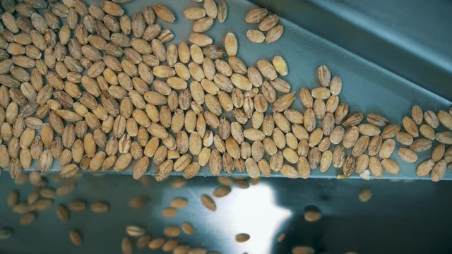 Factory for packaging of cereals and other food products.