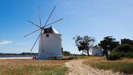 windmill