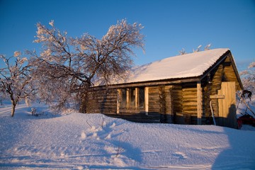 Fototapeta na wymiar wilderness hut on a skiing route in lappland