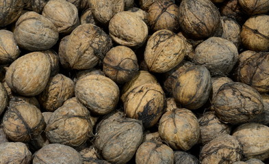 
Storage of old walnuts as a background.