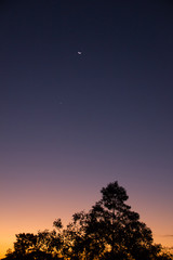 Fototapeta na wymiar crepúsculo com lua e árvores