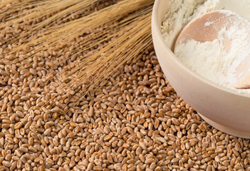 Flour in a bowl, wheat ears on a background of scattered wheat.