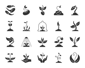 Sprout black silhouette icons vector set