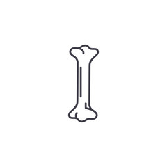 Bone linear icon concept. Bone line vector sign, symbol, illustration.