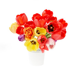 Colorful tulips bouquet in white vase. Isolated over white background. Holiday concept.