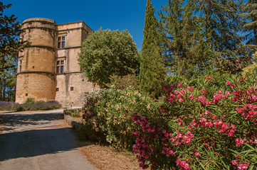 View of the Lourmarin Castle with flower bush in the foreground, near the village of Lourmarin. In the Vaucluse department, Provence-Alpes-Côte d'Azur region, southeastern France