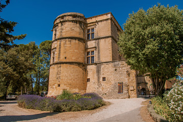 View of the Lourmarin Castle with lavender bush in front, near the village of Lourmarin. In the...