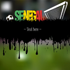 Senegal with a soccer ball and gate