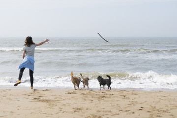 The girl at the sea plays with dogs