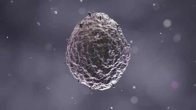 Scanning electron microscope image of the H1N1 virus.