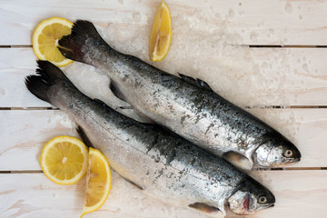 Rainbow trout over sea salt with pieces of lemon over white Mediterranean wooden background