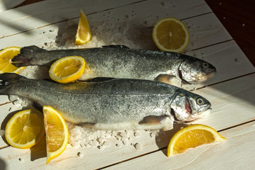 Rainbow trout over sea salt with pieces of lemon over white Mediterranean wooden background