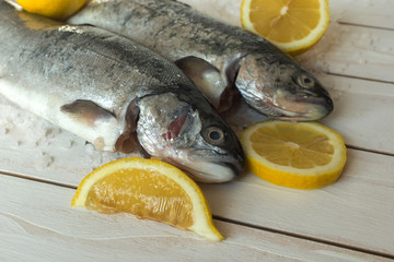 Rainbow trout over sea salt with pieces of lemon over white Mediterranean wooden background