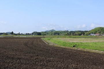 田舎の風景　畑　土　青空　山