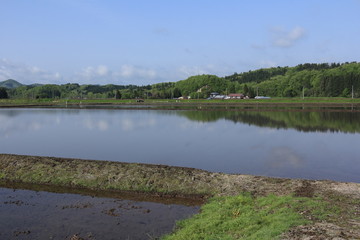 田舎の風景　田んぼの水面に反射する青空　秋田県
