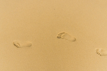 Beach line near the ocean sea with footprints in the sand. Concept of summer, holidays, vacation, travel, and beach