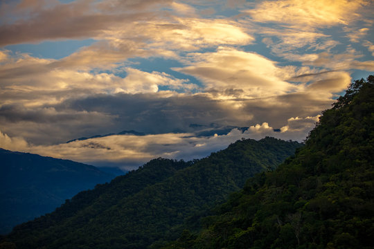 monta&ntilde;a dorada