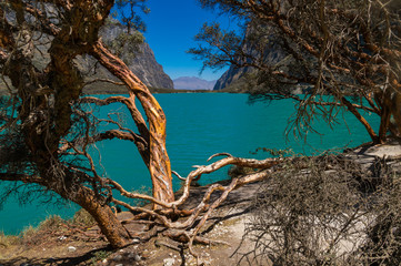 Llanganuco Lake