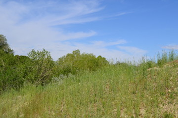 Obraz premium 5/14/18