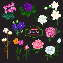 Flower icon of garden and house flowering plant