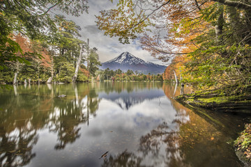 Conguillio National Park, considered by National Geographic as one of the best ten forest in the...