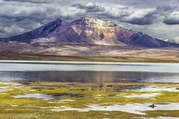 Chungara Lake, dominated by Parinacota Volcano. A panoramic view of the chilean 