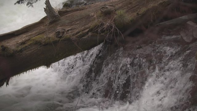 Footage of a log sitting over falling water at Benham Falls near Bend, OR.  Shot on a Blackmagic Ursa Mini Pro 4.6k with a Sigma 50-100mm f/1.8.