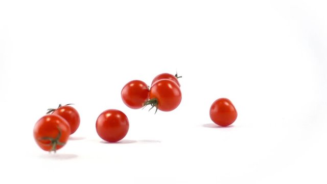 Super Slow Motion of Red Fresh Tomatos Falling   on White Surface