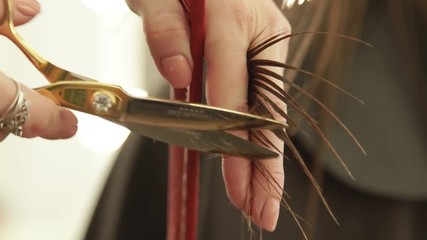 Hand hairstylist cutting hair tips during woman haircut with scissors in hairdressing salon. Close up hairstylist making female hair cut in beauty studio.
