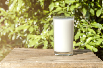 a glass of milk on wooden table with nature background.