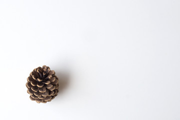 Christmas pinecone fir isolated with white background