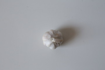 Fototapeta na wymiar Onion and garlic on white background. 