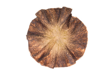 Abstract background for design created from wool, for decoration, text design, template.