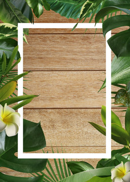 Summer background and various frames