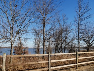Trees without leaves and dried brown grass by the lakeside in winter, with a wooden fence by the roadside © GemStocks