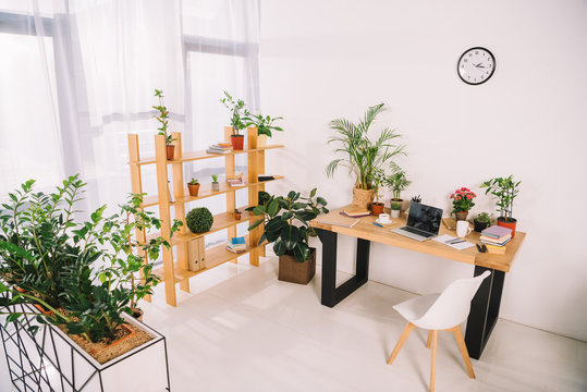 Interior Of Business Office With Green Plants