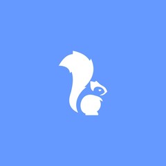 Obraz premium squirrel