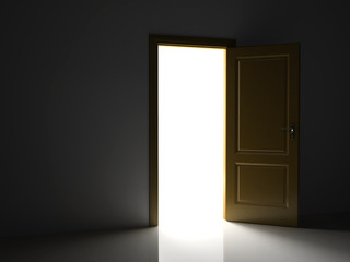Open door in the dark, in which you can see light.