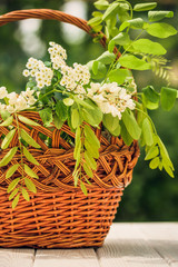 Delicate festive bouquet of wildflowers and a wicker basket. Decoration for the feast of Pentecost
