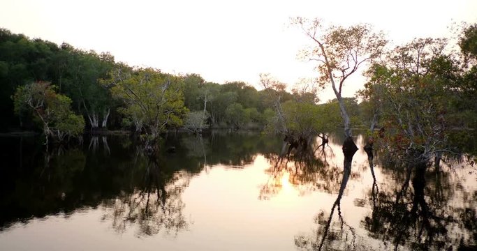 Forests and rivers with falling sun