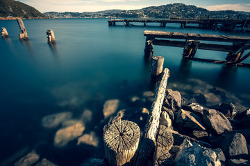 Landscape of Wellington, New Zealand © YiuCheung