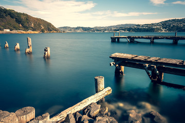 Landscape of Wellington, New Zealand © YiuCheung